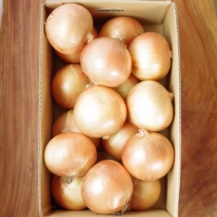 淡路産玉ねぎ　５kg箱