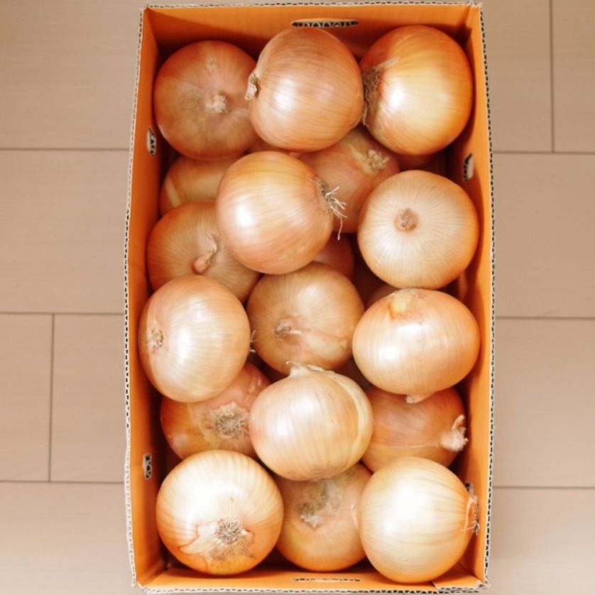 淡路産玉ねぎ　１０kg箱ダミー