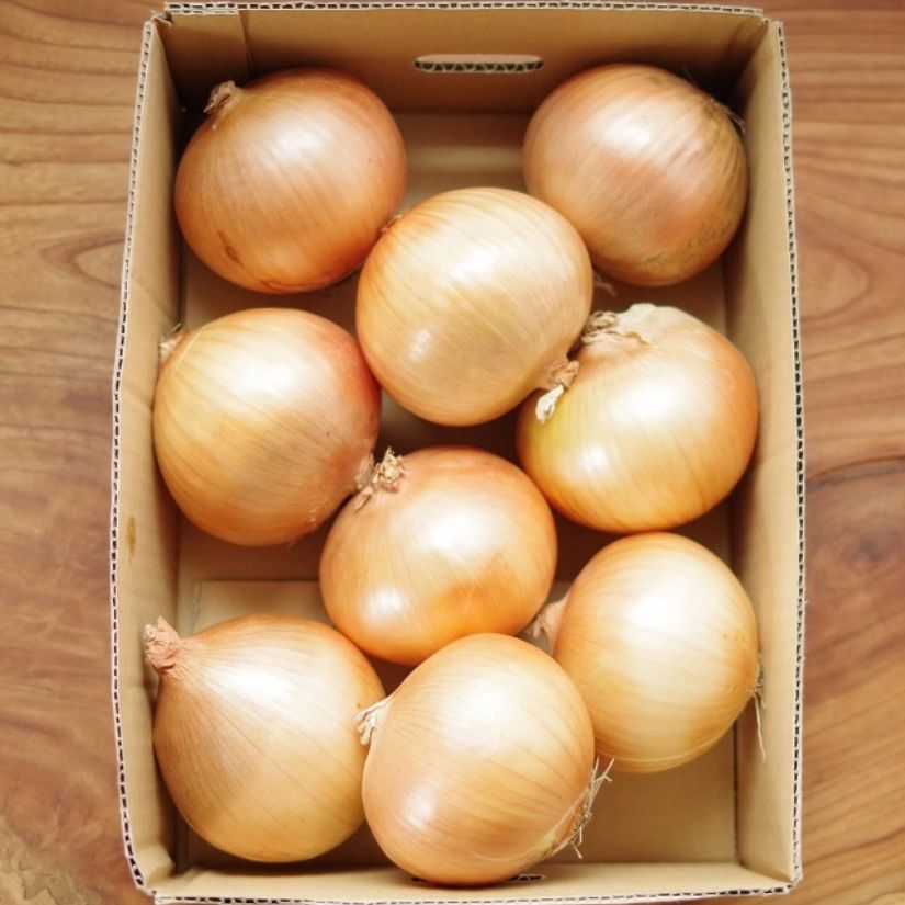淡路産玉ねぎ　３kg箱