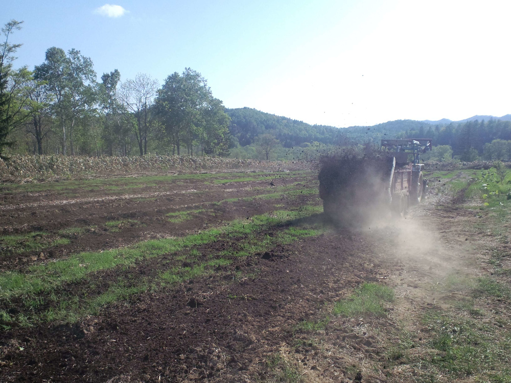 Mt.ピッシリ森の国　土起こし