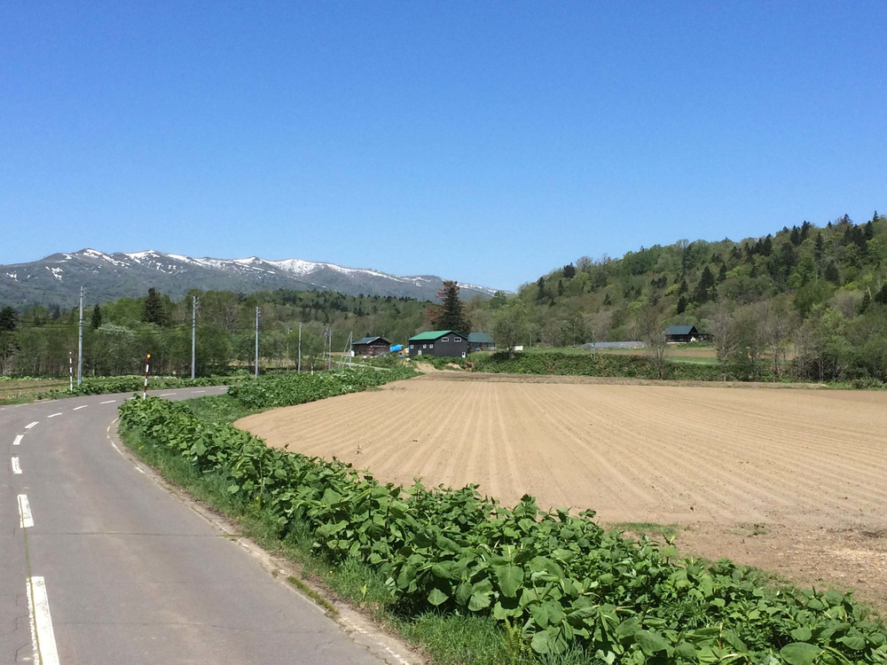 Mt.ピッシリ森の国　遠景