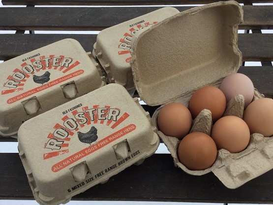 卵（６ケ入×４パック）