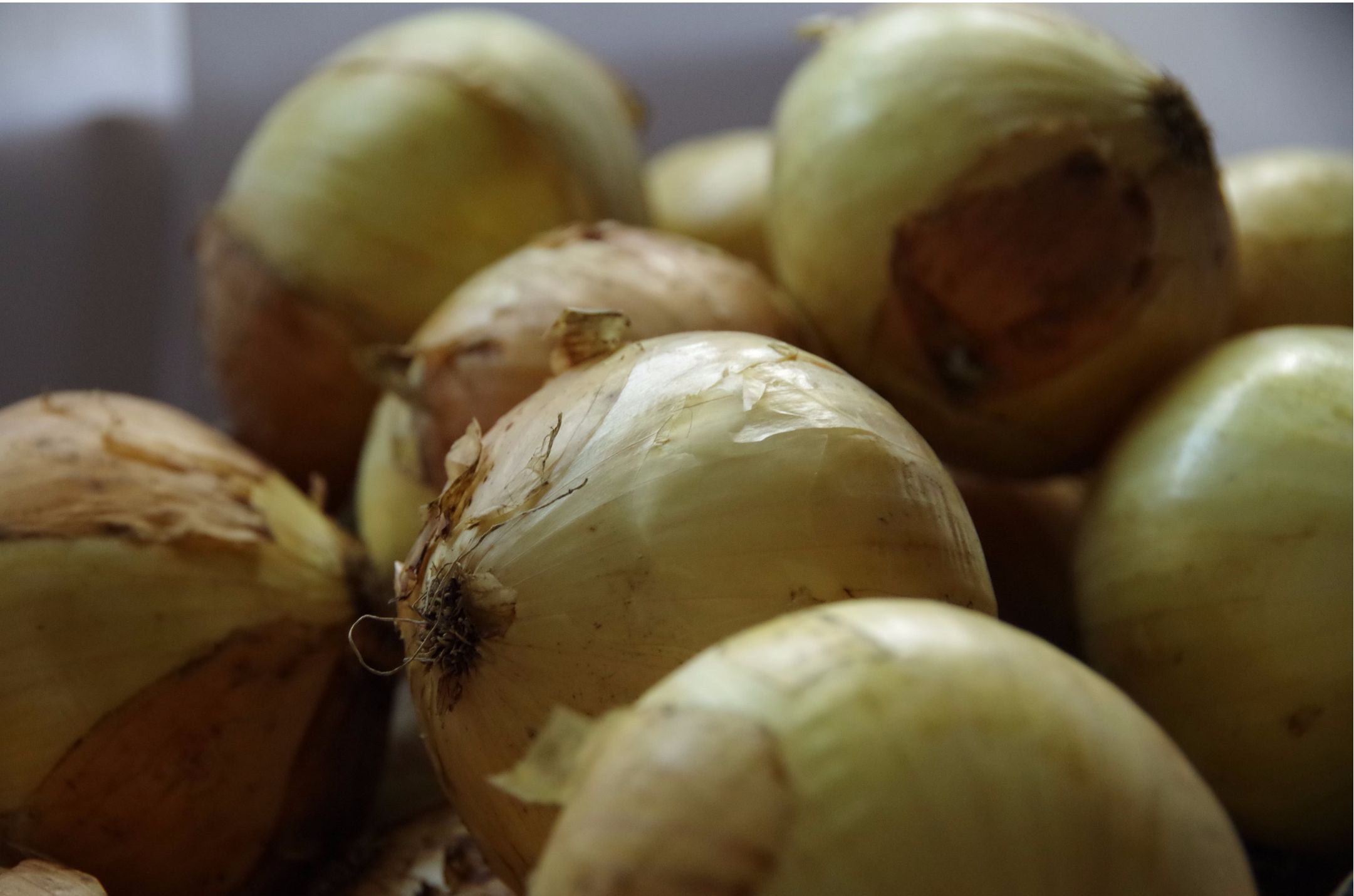 淡路産玉ねぎ　１０kg箱ダミー