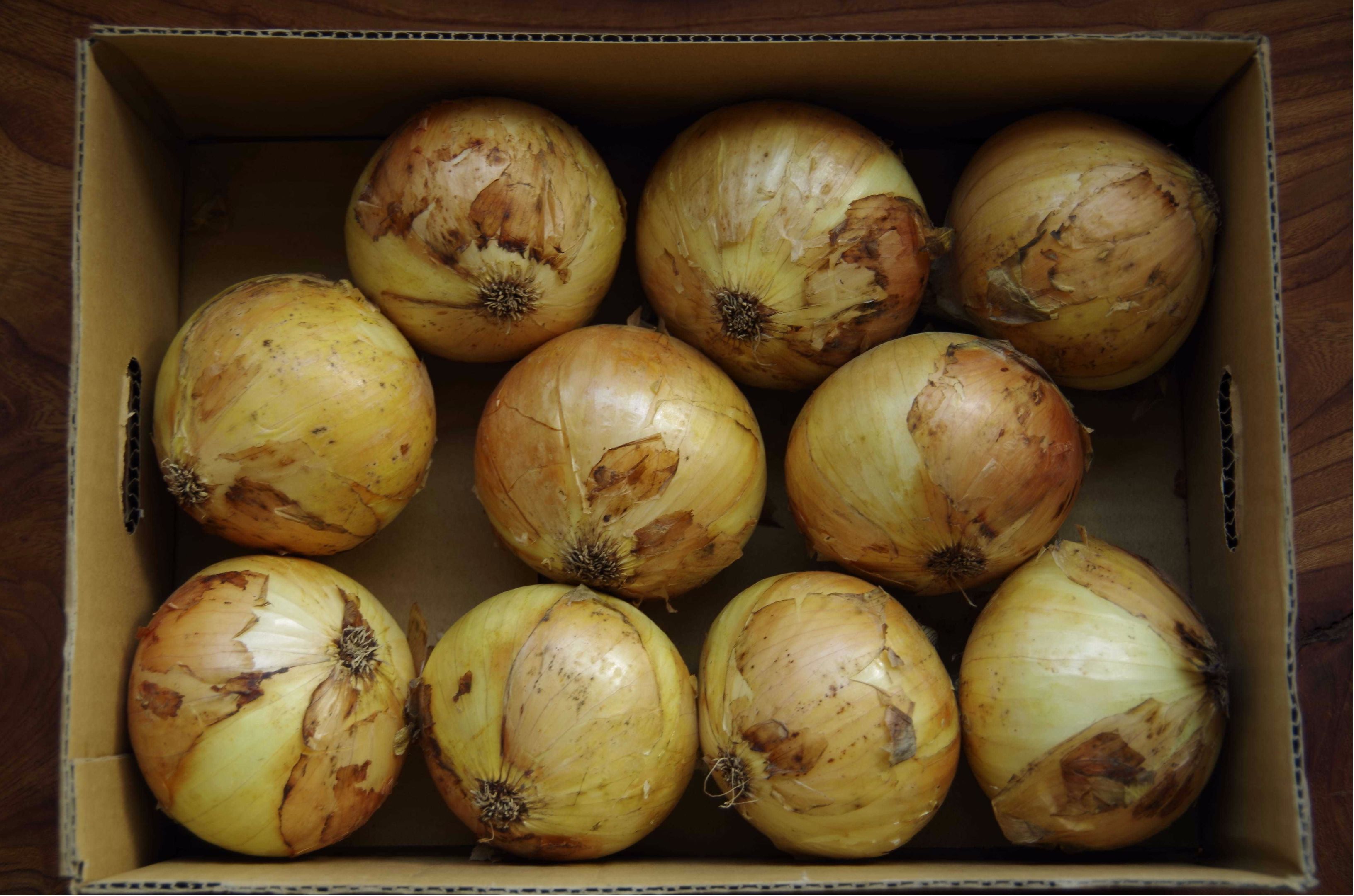 淡路産玉ねぎ　３kg箱